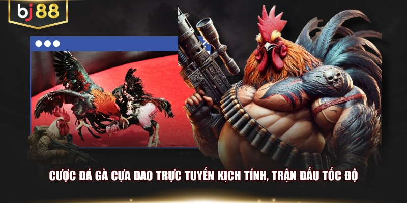 Cược đá gà cựa dao trực tuyến kịch tính, trận đấu tốc độ