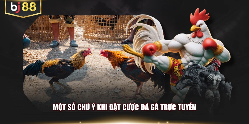 Một số chú ý khi đặt cược đá gà trực tuyến