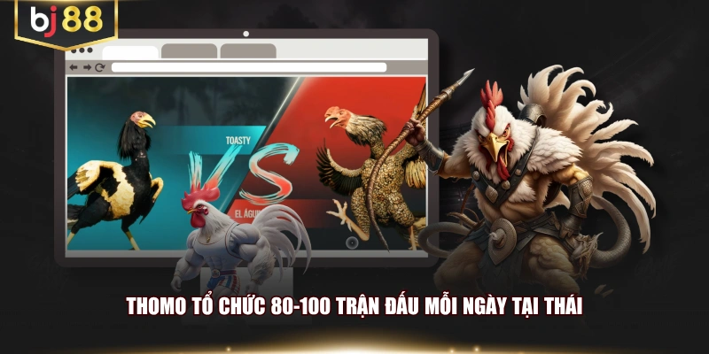 THOMO tổ chức 80-100 trận đấu mỗi ngày tại Thái