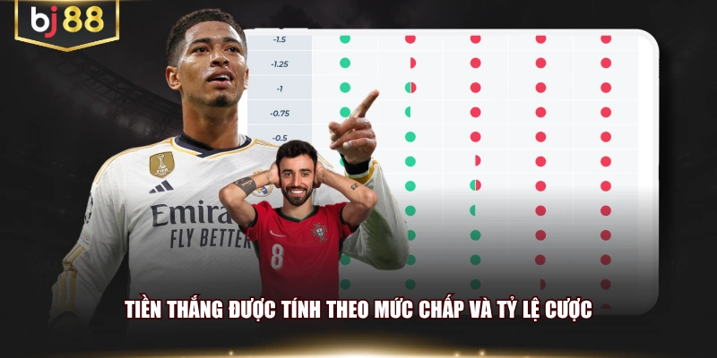Tiền thắng được tính theo mức chấp và tỷ lệ cược